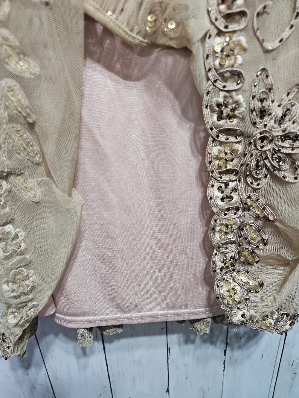 Sue Wong Nocturne Champagne Embroidered Beaded Drop Waist Dress Size 4 Lined. - Picture 6 of 13